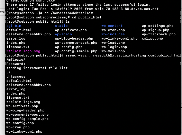 Screen-Shot-2020-02-04-at-17.01.42.webp