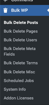 The WordPress sidebar menu displaying the newly added Bulk Delete options menu.