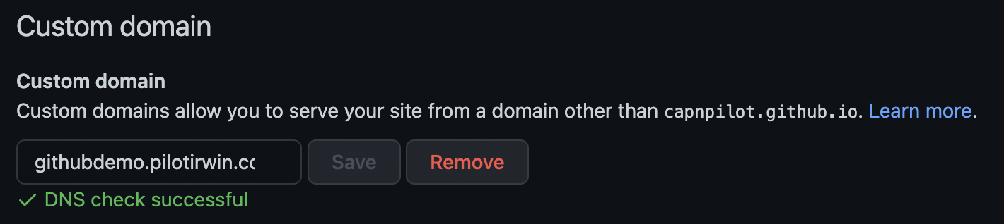GitHub_Mapping_-_Successful_DNS_Check.png